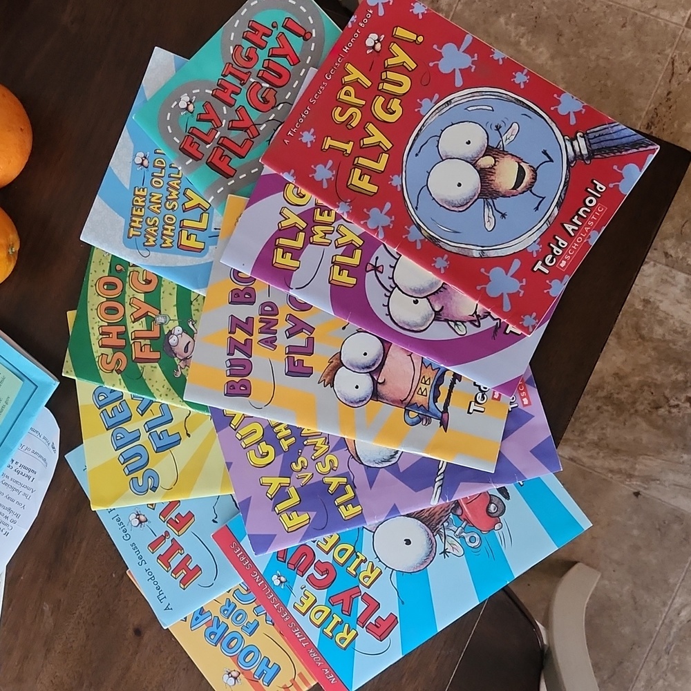 Fly Guy books-sold as a set